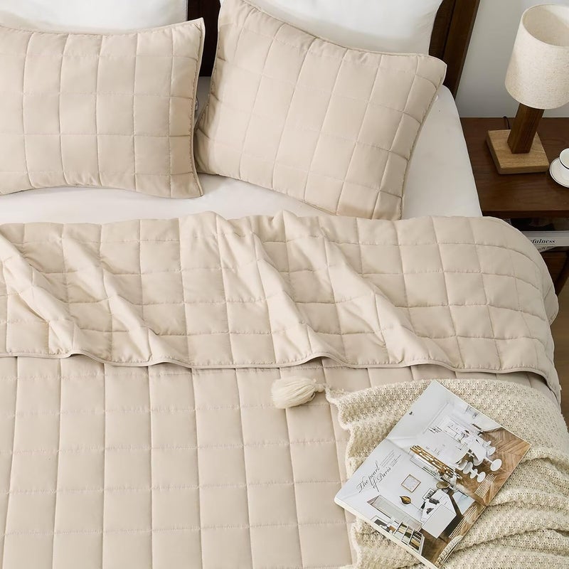 EMME Quilts Twin Size Bedding Sets, Beige Bedspread Soft Pre-Washed Quilt Winter Bed Sets, 2 Piece Cozy Reversible Microfiber Bed Coverlet with Pillow Sham (Square Pattern,66"x90") - Image 3